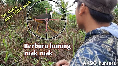 No togel burung ruak ruak 