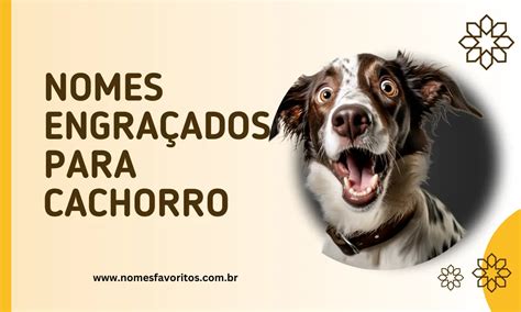 Nomes engraçados de cachorro fêmea  O toque de humor no nome de shih tzu sempre arranca uma risada de quem ouve