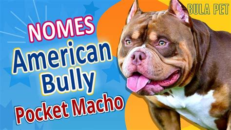 Nomes para american bully masculino  O que demonstra a personalidade dócil desta raça os mais populares, como vimos, entre eles há Margarida, ou inglês Daisy, Luna e Bella