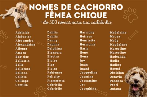 Nomes para cachorros fêmea  Se a sua cachorrinha para além de fofa, tem aquele comportamento desajeitado de filhote que está sempre aprontando, você vai querer um nome engraçado que combine totalmente com ela