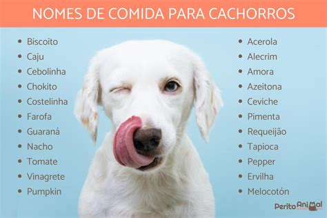 Nomes para cadelas em inglês  Se você quer um nome único para sua cadela pequena, pode optar por nomes como: Zara, Nala, Gigi, Pixie, Tilly, Marnie, Koda, Bowie, Juno e Pepper