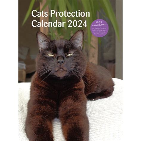 North walsham cats protection  Independent shops in North Walsham