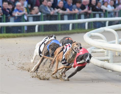 Nottingham greyhound card  Bet £10 get £30