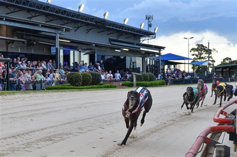 Nowra greyhound track markets  2yo