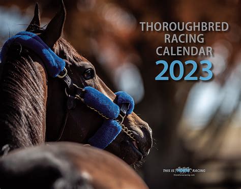 Nsw horse racing calendar 2023  Australian Horse Racing