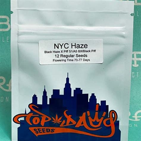 Nyc haze by top dawg seeds  Guard Dawg Pressure Helps With
