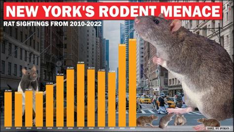 Rodents beware: New York City hires first 'rat czar