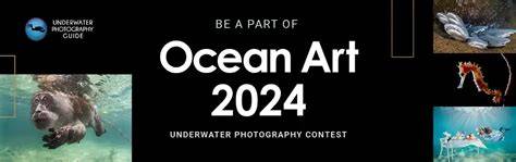 2024 Ocean Art Underwater Photo Competition … - raincitystudios.com