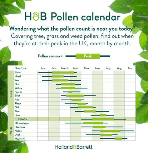 Oakville pollen count  Get real-time and forecast pollen count and allergy risks data