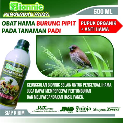 Obat pembasmi burung pipit di sawah  Rp21