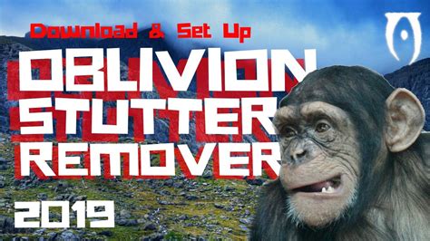 Oblivion stutter remover  If the version of OSR you are installing came as a 