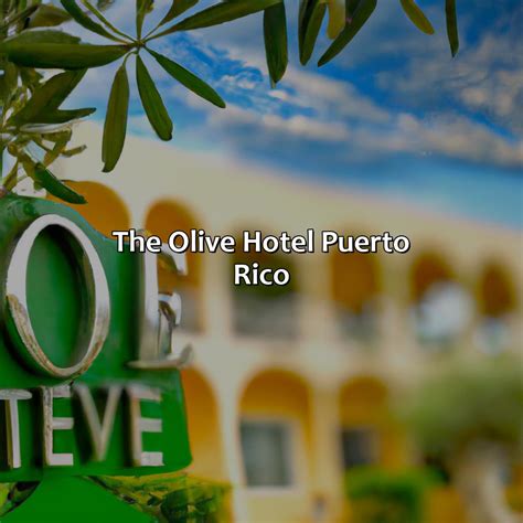 Olive hotel puerto rico  Valet parking is another $20 per night
