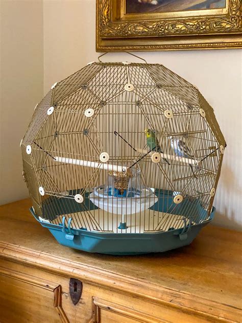 Omelette bird cage 99 $ 189 