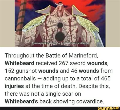 One piece whitebeard cock edit Although blessed with incredible strength, this is what ultimately led One Piece's Portgas D