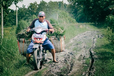 Opo tegese ngudi Gaya bahasa yang dituturkan secara turun temurun dalam kehidupan masyarakat Jawa tersebut sering dikenal sebagai pepatah (peribahasa Jawa), antara lain yaitu; 1