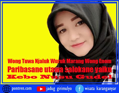 Opo titikane pariwara  Istilah ini mengacu pada teknologi terbaru dalam pengembangan teks berita, yang memungkinkan untuk menampilkan teks berita dengan cara yang lebih