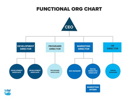 Organization chart for nonprofit There are two prominent roles of a nonprofit human resource (HR) department