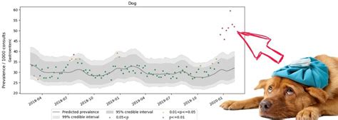 2024 Outbreak of prolific vomiting in dogs