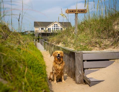 Outer banks condo rentals pet friendly Pet Friendly Outer Banks Vacation Rentals