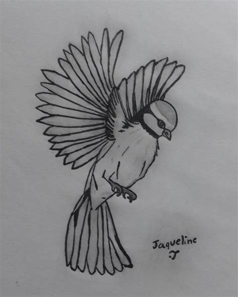 Pássaro desenho realista 168 Imagens gratuitas de Papagaio Desenho