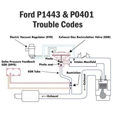 P1443 ford escort code  what does this indicate & where is the cannister? thank you