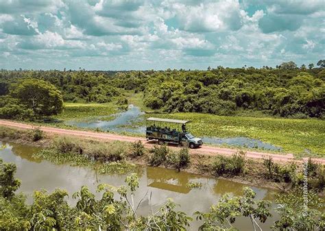 Pacote viagem para bonito  A rica diversidade da fauna e flora do Pantanal são grandes atrativos para os praticantes do ecoturismo, amantes da vida ao ar livre e da