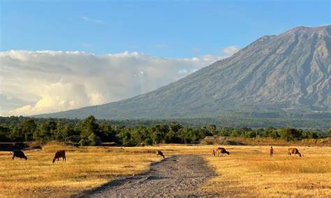 Padang savana tegese id - Jika kalian melihat hamparan padang savana yang luas, dengan pemandangan hewan liar seperti rusa, banteng dan hewan lainnya, pasti kalian akan berpikir hanya ada di belantara Afrika