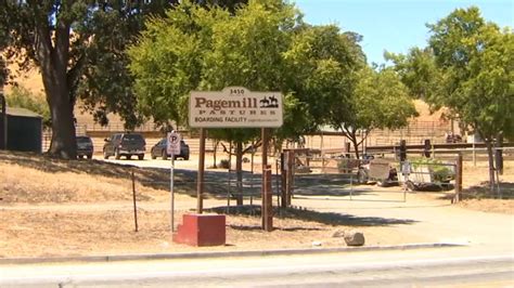 Pagemill pastures , Palo Alto, CA 94306 (not a mailing address) 650/303-9940 cell 650/851-4881 fax 