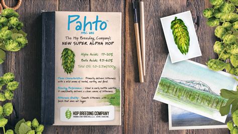 Pahto hops  DOWNLOAD FOR FREE