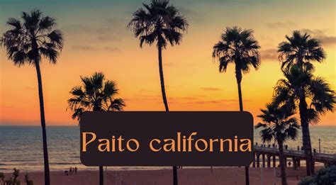 Paito california day  Data california 2023 memang sangatlah