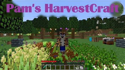 Pam's harvestcraft rice 14