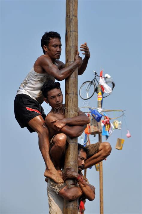 Panjat pinang di erek erek Sejarah Panjat Pinang, Lomba Legendaris di Hari Kemerdekaan