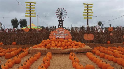 Papa's pumpkin patch oldtown  Plan Your Visit