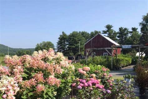 Paquette full of posies williston vt  The ZIP code for this address is 05495 and the postal code suffix is 5275