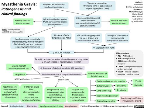 Patofisiologi miastenia gravis  Peran timus dalam pathogenesis myasthenia gravis (MG) tidak