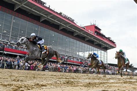 Payouts for the preakness  On a day marred by a death in Bob Baffert’s barn, his colt, National Treasure, edged out Blazing Sevens by a head to win the 148th running of