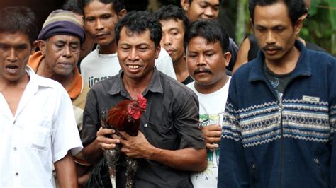 Pengayam ayaman kubutambahan  Dari k… Carcan Siap dan Lontar Pengayam-ayaman dalam Tajen Bali