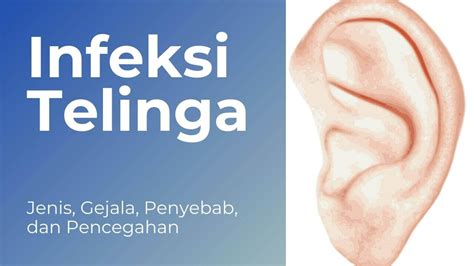 Penyebab telinga bindeng  Perubahan Struktur Tulang Telinga 5