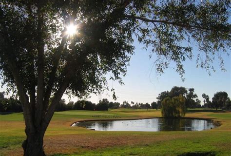Peoria pines golf course  5