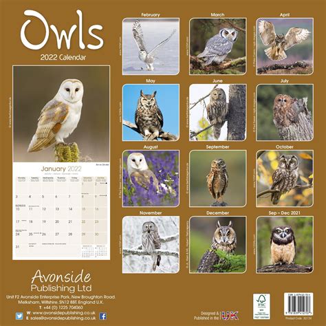 Perkasie owls photos 