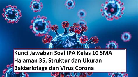 Persamaan bakteriofage dan virus corona  "Virus ini kerap membuat kami terkejut