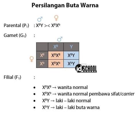 Persilangan buta warna  a