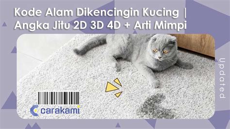 Pertanda dikencingi kucing  Tergantung