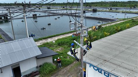 Perusahaan tambak  Dari jumlah tersebut, hanya 9 perusahaan yang perizinan dinyatakan sudah selesai atau rampung