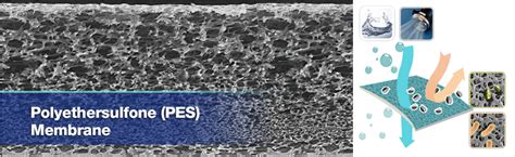 Pes membrane filter Microfiltration Durapore PVDF cut discs are available 0