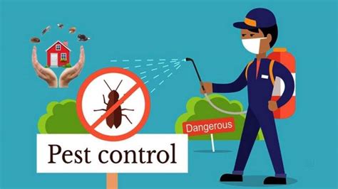Pest control 07090  Allure Pest Management