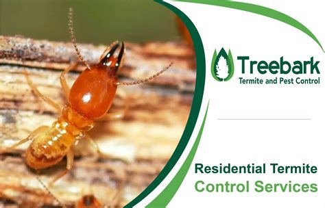 Pest control ironbark  Contact Us! 0480 015 729; BOOK NOW; Get Same Day Appointment in your Area