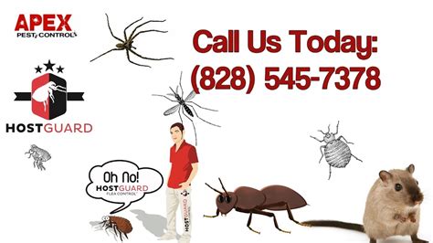 Pest control north tamborine  It covers 11