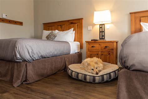 Pet friendly hotel rooms sioux falls sd  Children