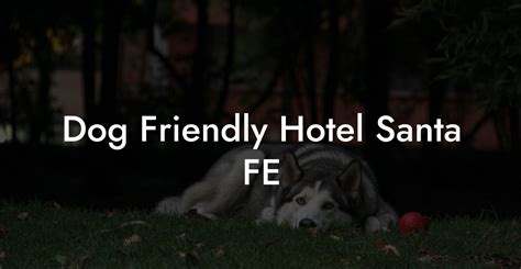 Pet friendly hotel santa fe  The inviting El Farolito B&B Inn offers a homier LGBTQ+ friendly experience and is one lovely gay friendly hotel in Santa Fe NM